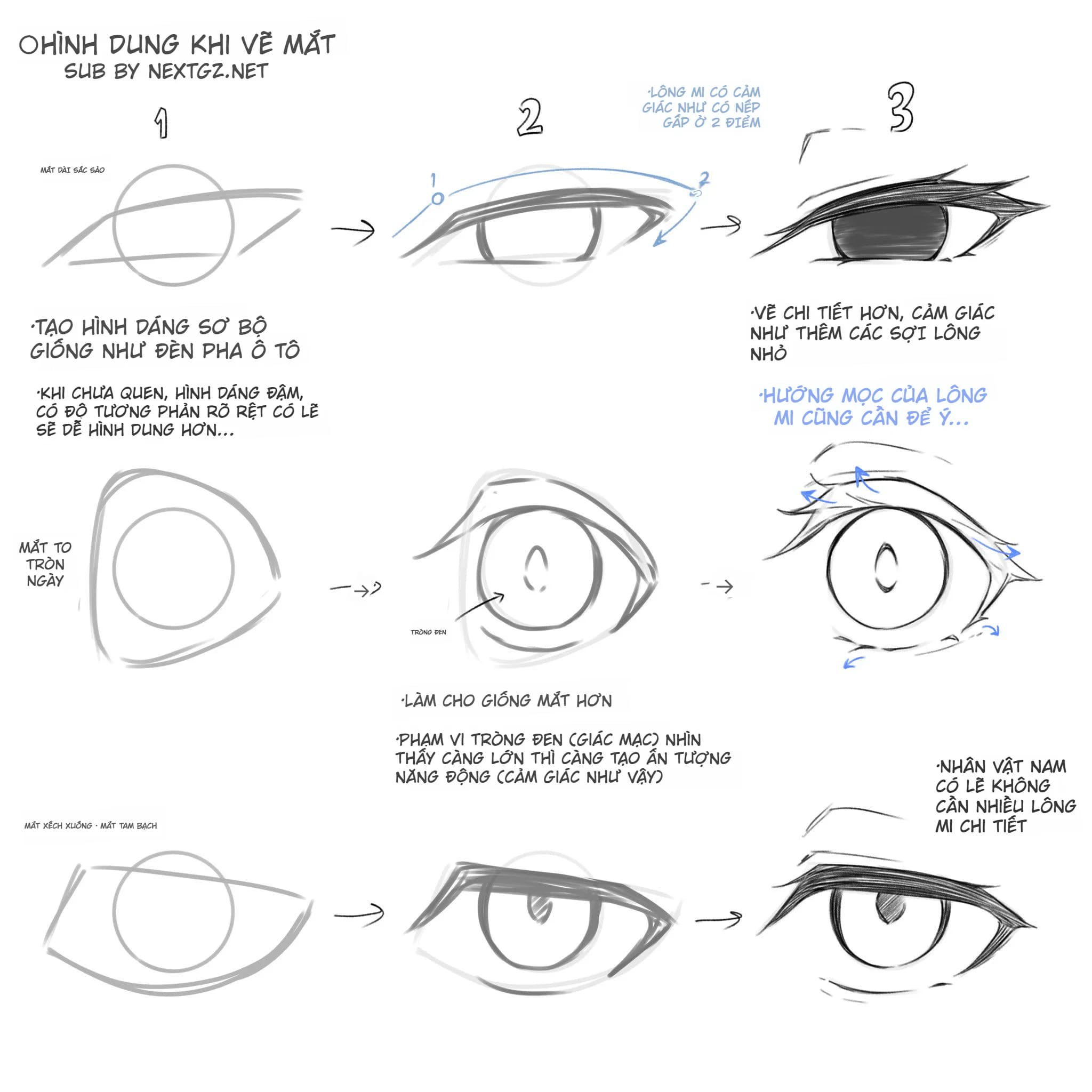 Hướng Dẫn Toàn Diện: Kỹ Thuật Dẫn Dắt Thị Giác Trong Minh Họa Số