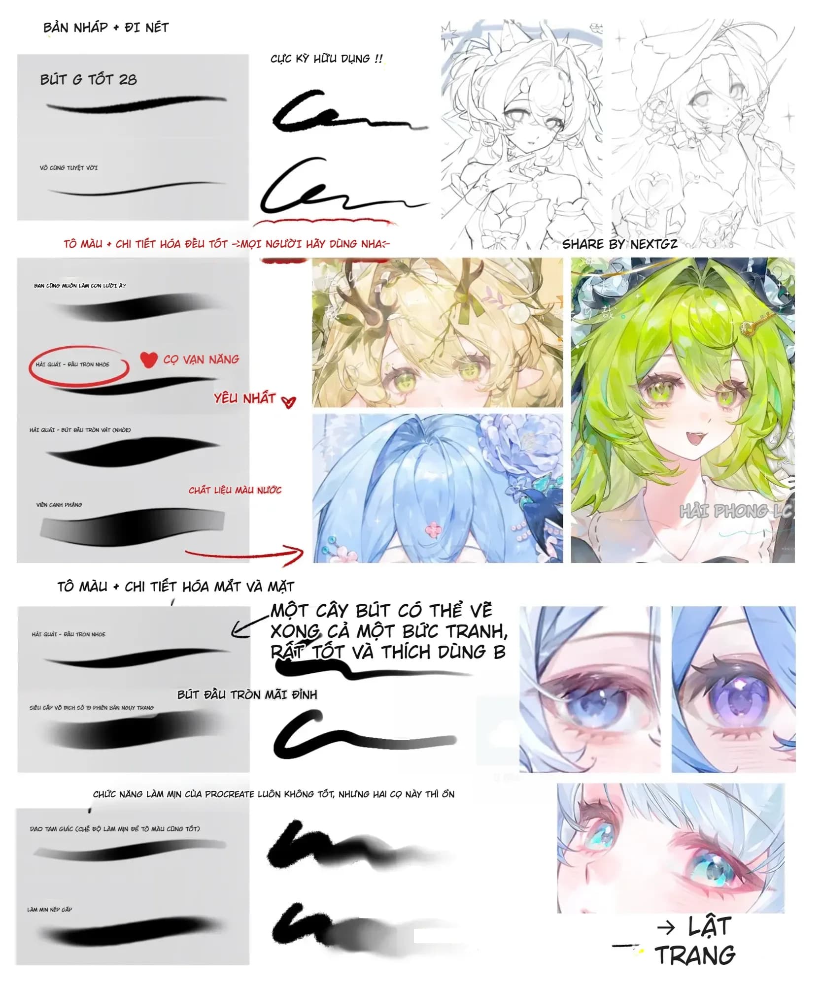 Share bộ Procreate Brush Viền xịn, Chuyển tiếp cánh, Hạt sần