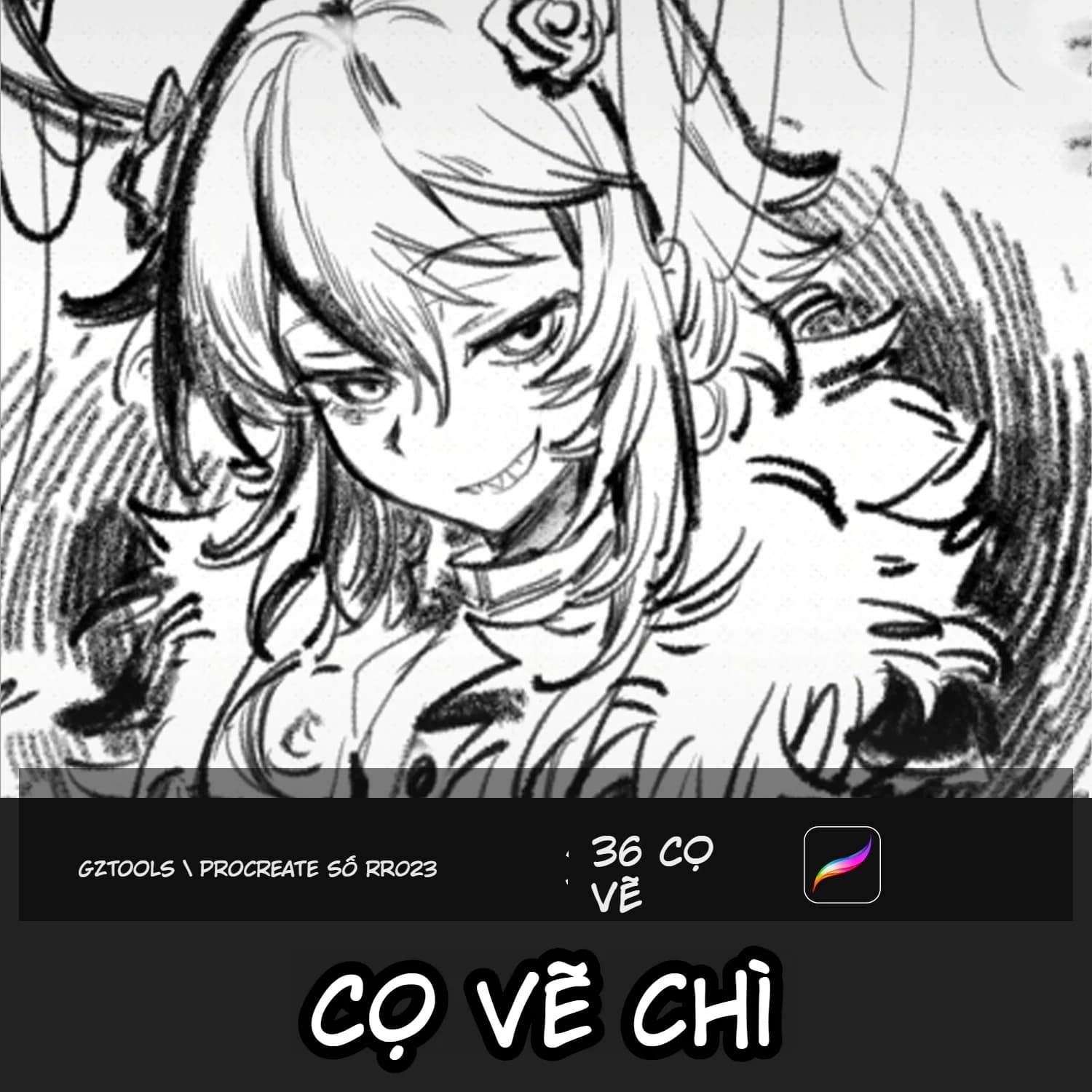 Bộ 36 Brush Procreate Vẽ Chi Tiết RR023