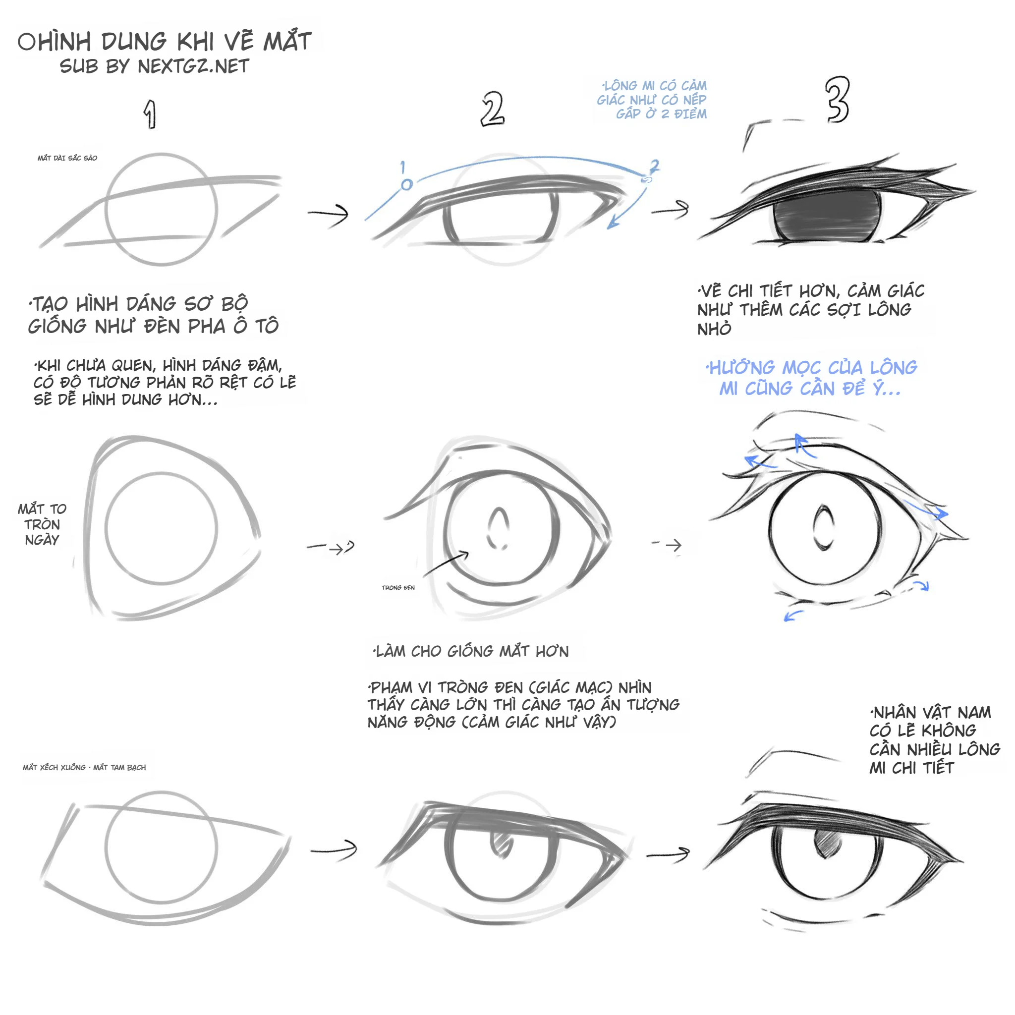 Hướng Dẫn Toàn Diện: Kỹ Thuật Dẫn Dắt Thị Giác Trong Minh Họa Số