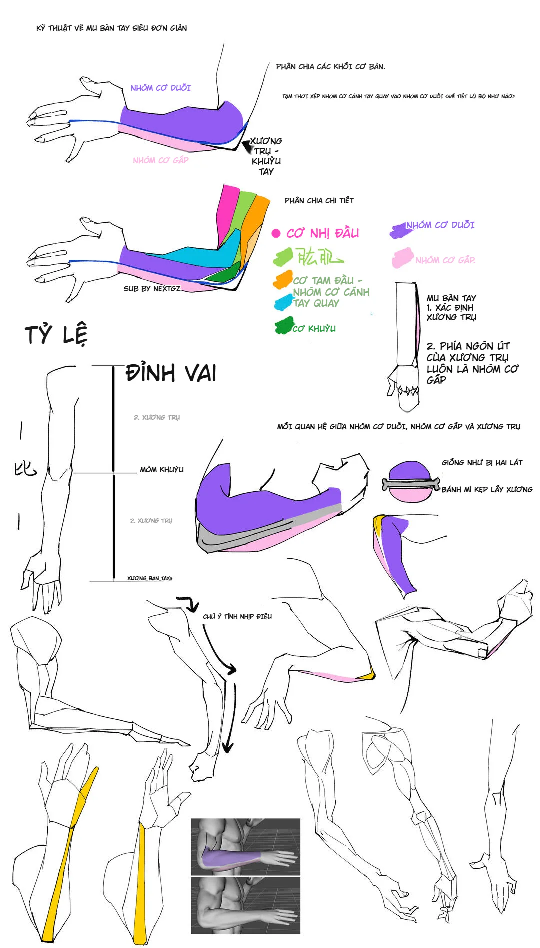 How to Draw the Forearm and the Back of the Hand Simply: An Easy-to-Remember Block Thinking for Artists