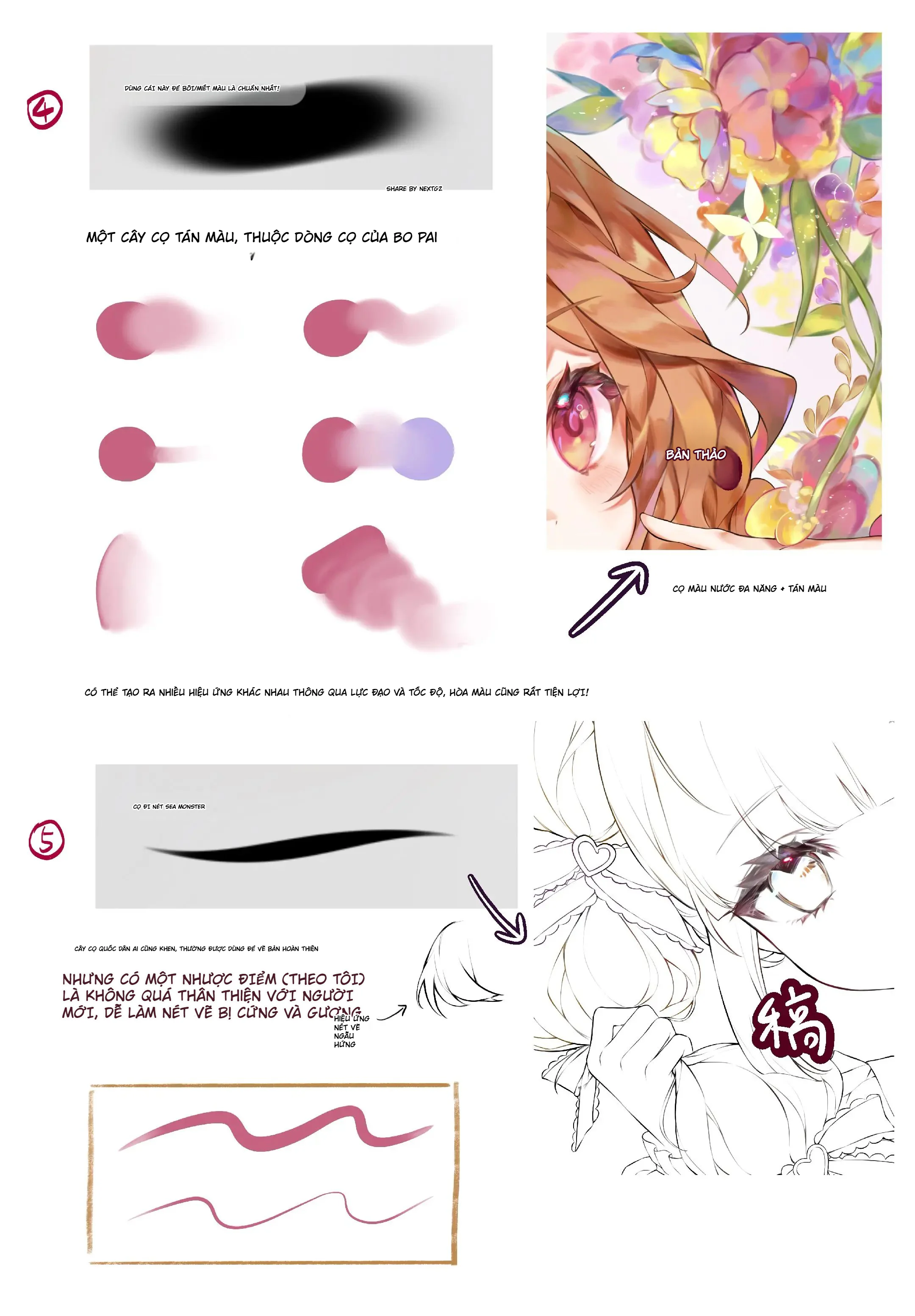Chia Sẻ Bộ Cọ Spople Procreate: Bộ Cọ Vẽ Màu, Đi Nét Và Truyện Tranh Đen Trắng