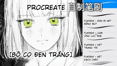 Brush Procreate Bộ cọ Fukiishi - tổng hợp đen trắng