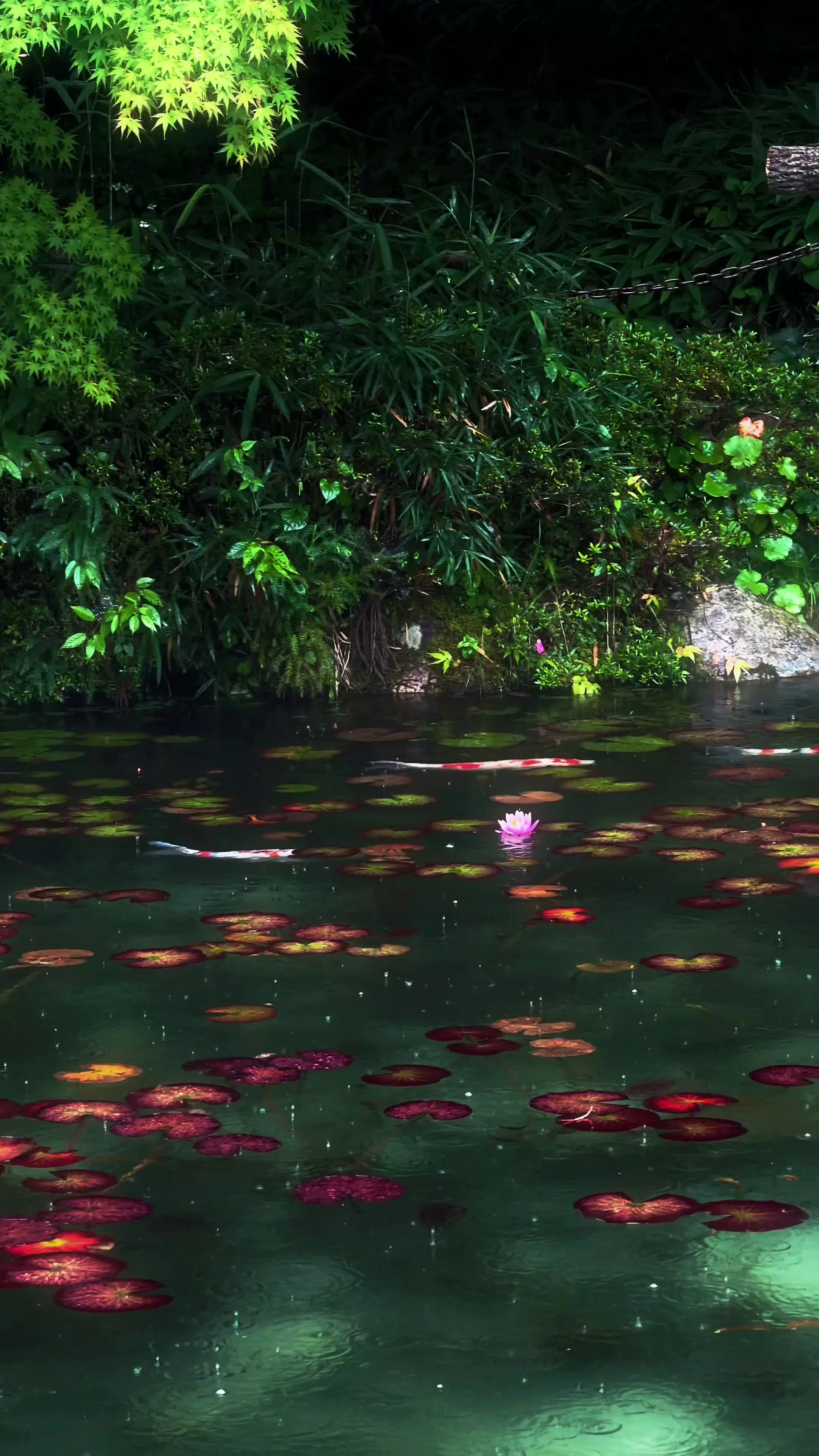 Khám Phá "Ao Monet" Tuyệt Mỹ Dưới Mưa & Bài Học Tiếng Trung Về Sự Bất Ngờ