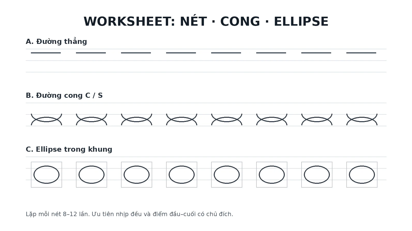 Worksheet luyện đường thẳng, đường cong C và S cùng ellipse trong khung dành cho người mới.
