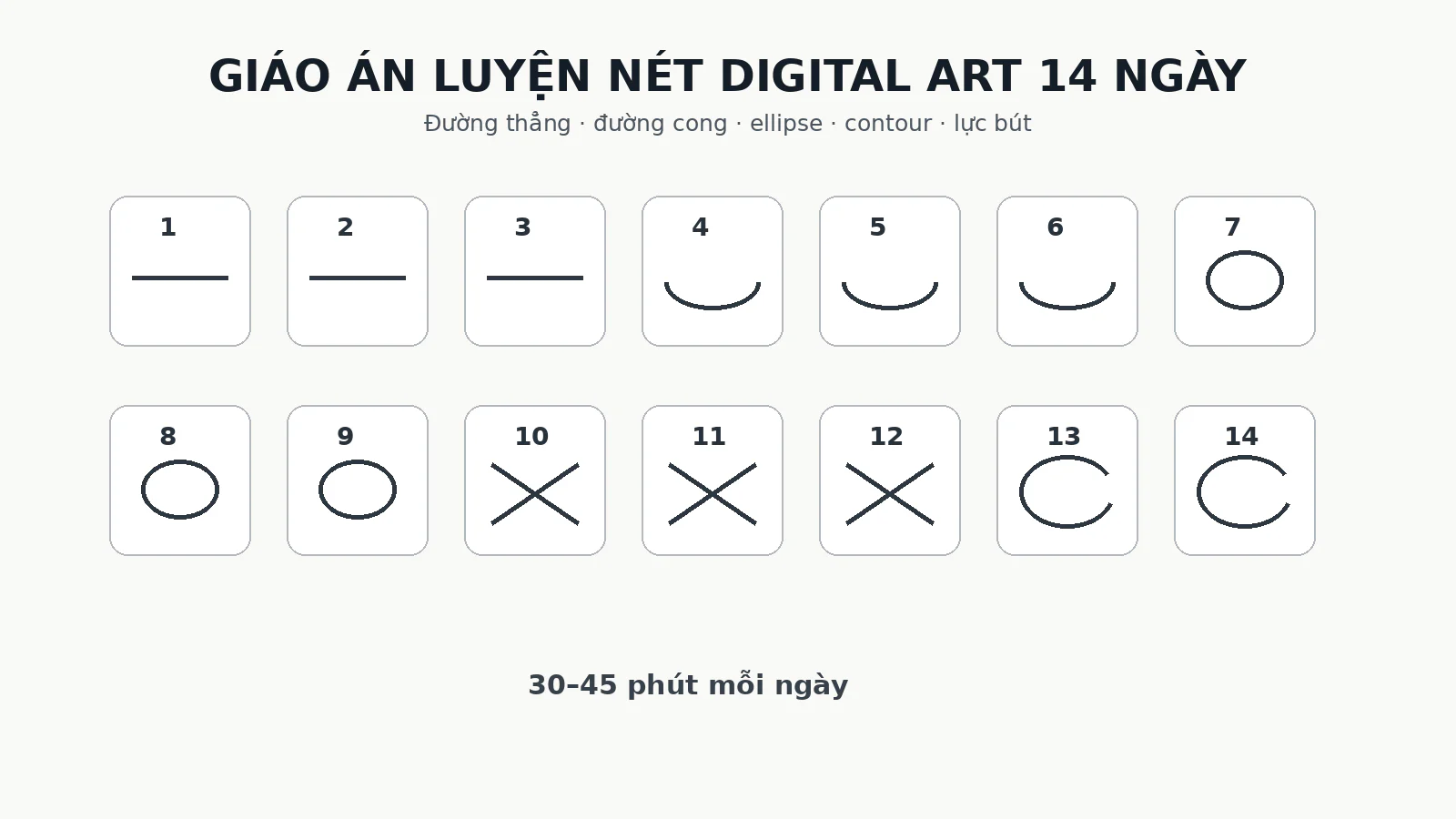 Lịch luyện nét Digital Art 14 ngày gồm đường thẳng, đường cong, ellipse, contour và lực bút.