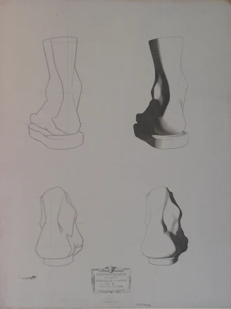 Bargue foot study with contrast between light contour and dark mass