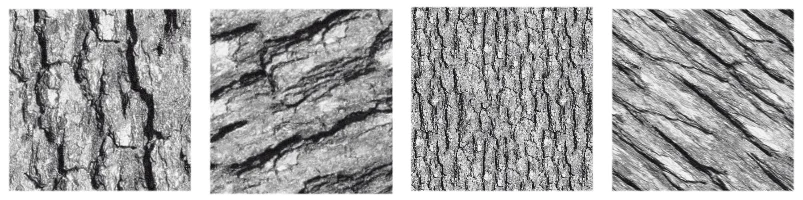 Bốn biến thể texture trong Krita sau khi thay đổi scale và rotation