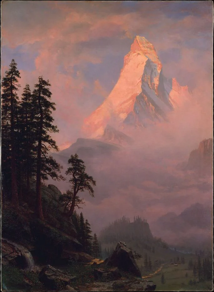 Đỉnh Matterhorn bắt sáng phía xa sau tiền cảnh rừng tối nhiều lớp