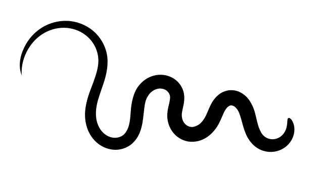 Inkscape Pencil Tool: Smoothing, Shape Và Lineart Vector