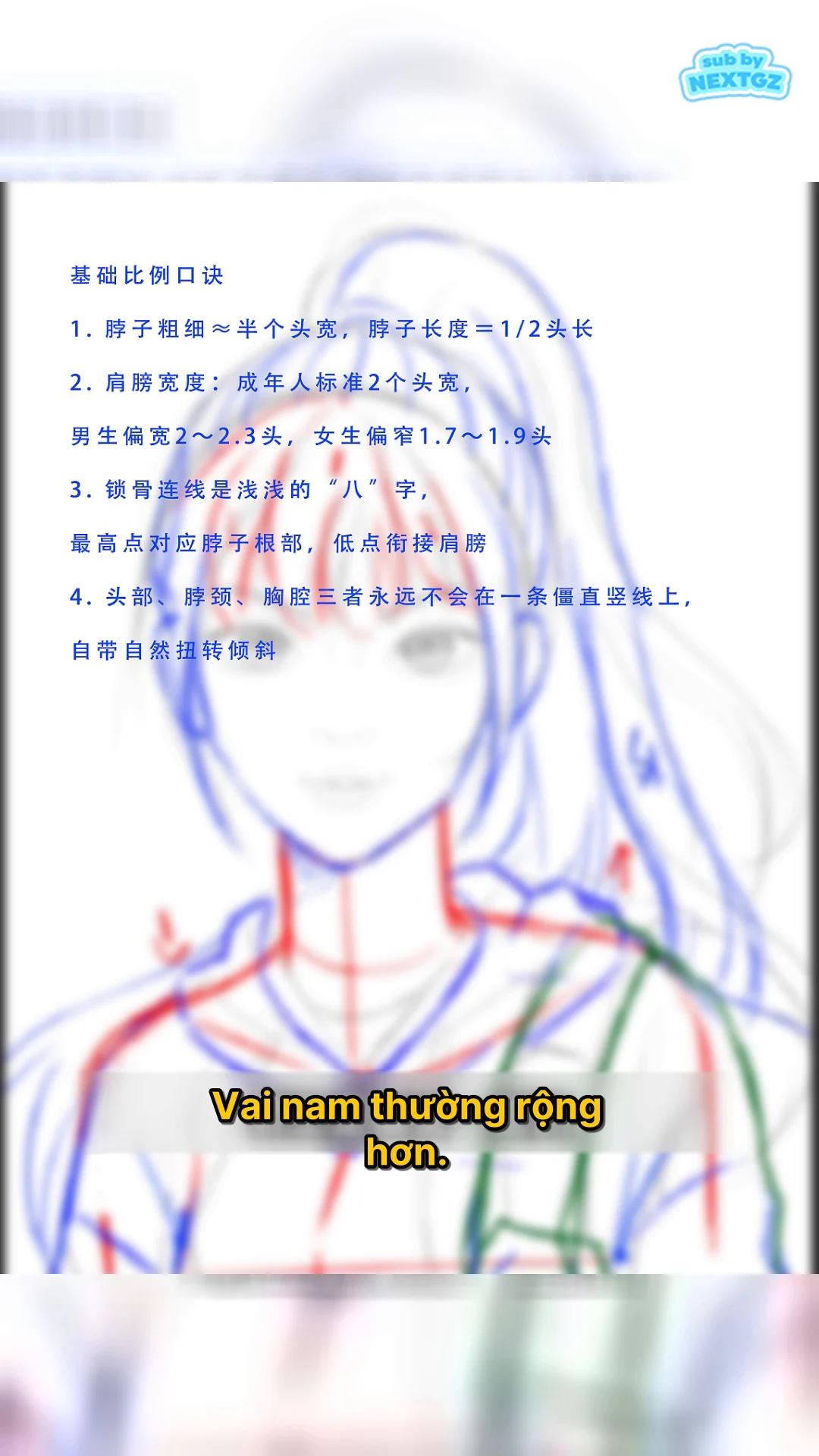 Frame cuối video hiển thị bảng tỷ lệ cơ bản của cổ, vai, xương đòn và quan hệ đầu cổ ngực.