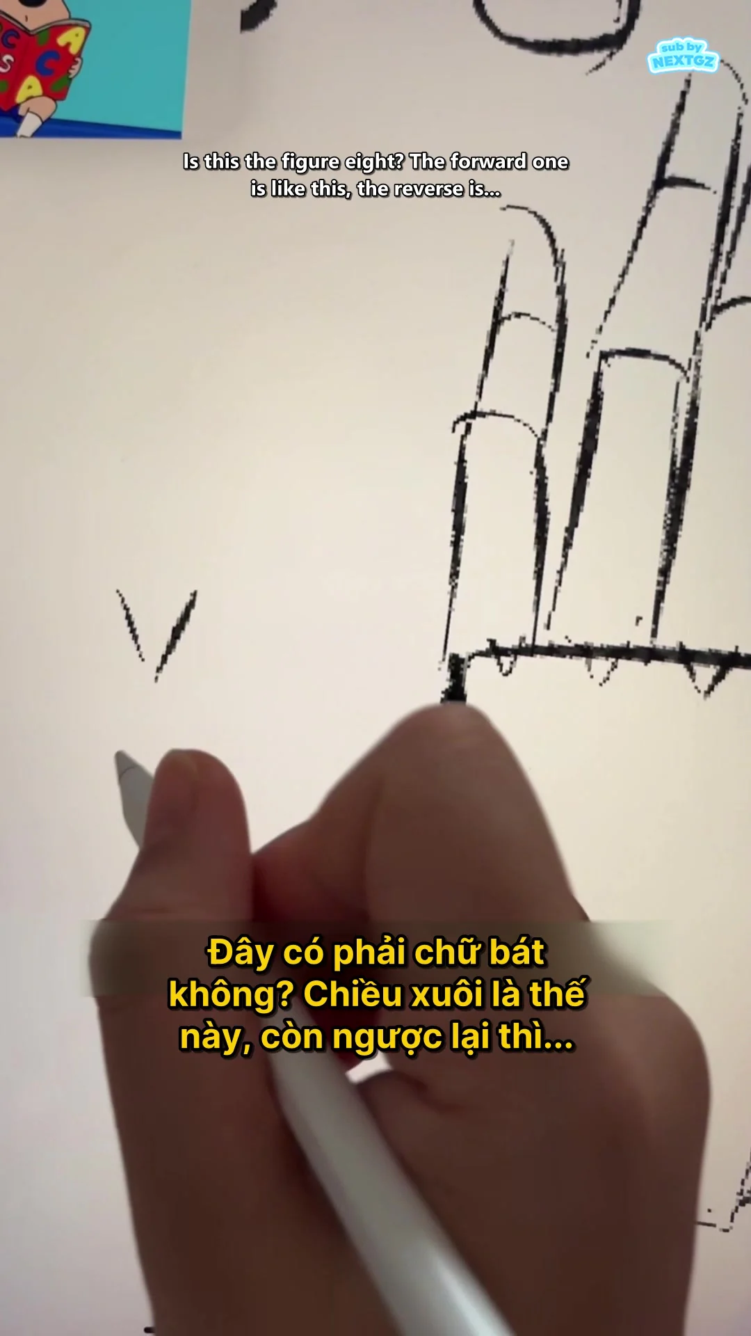 Frame bổ sung các nếp lòng bàn tay dạng chữ V và một số đường gân để giải thích cấu trúc bề mặt.