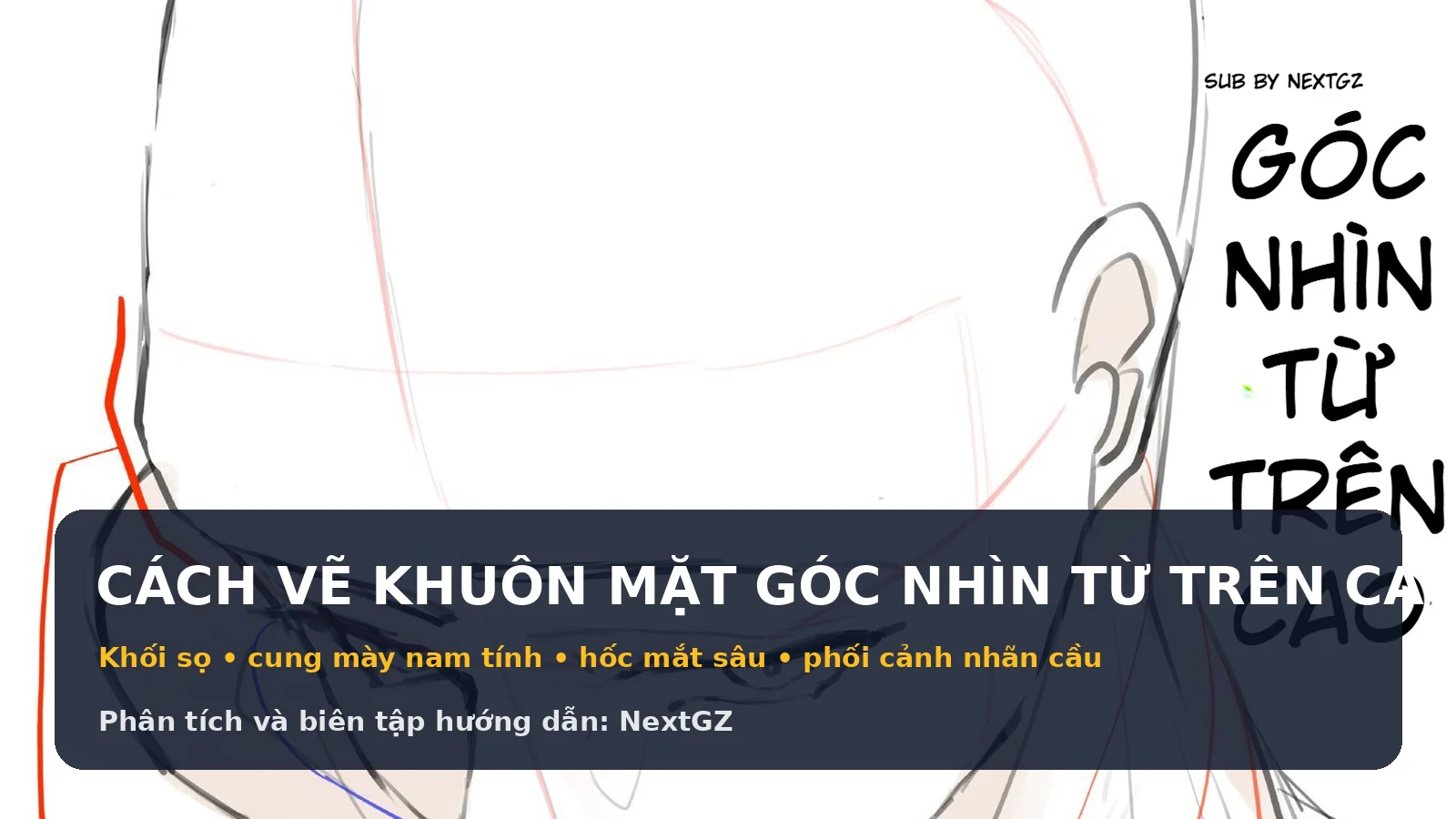 Cách vẽ khuôn mặt góc nhìn từ trên cao: Khối sọ, hốc mắt sâu và cấu trúc nam tính