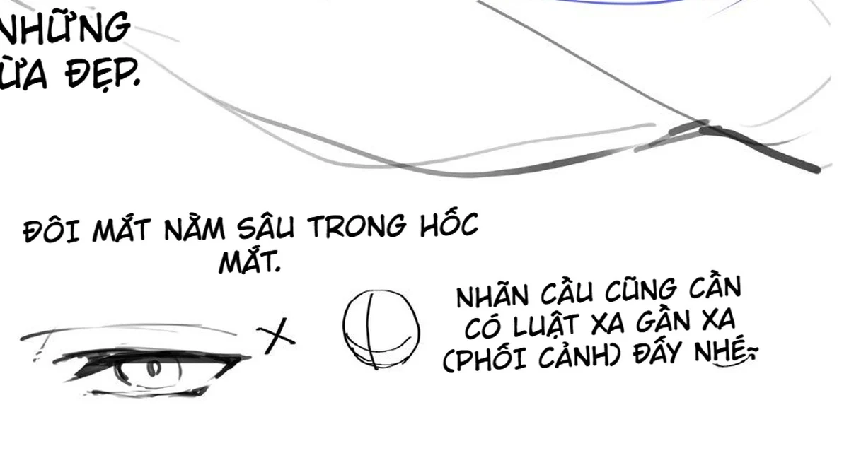 Sơ đồ nhãn cầu theo phối cảnh cùng cách đặt đồng tử và hướng nhìn trong khuôn mặt góc nhìn từ trên cao.