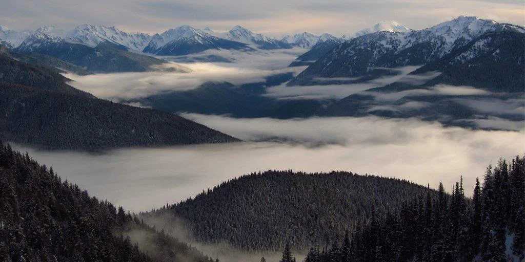 Mây thấp len qua các đỉnh núi ở Olympic National Park