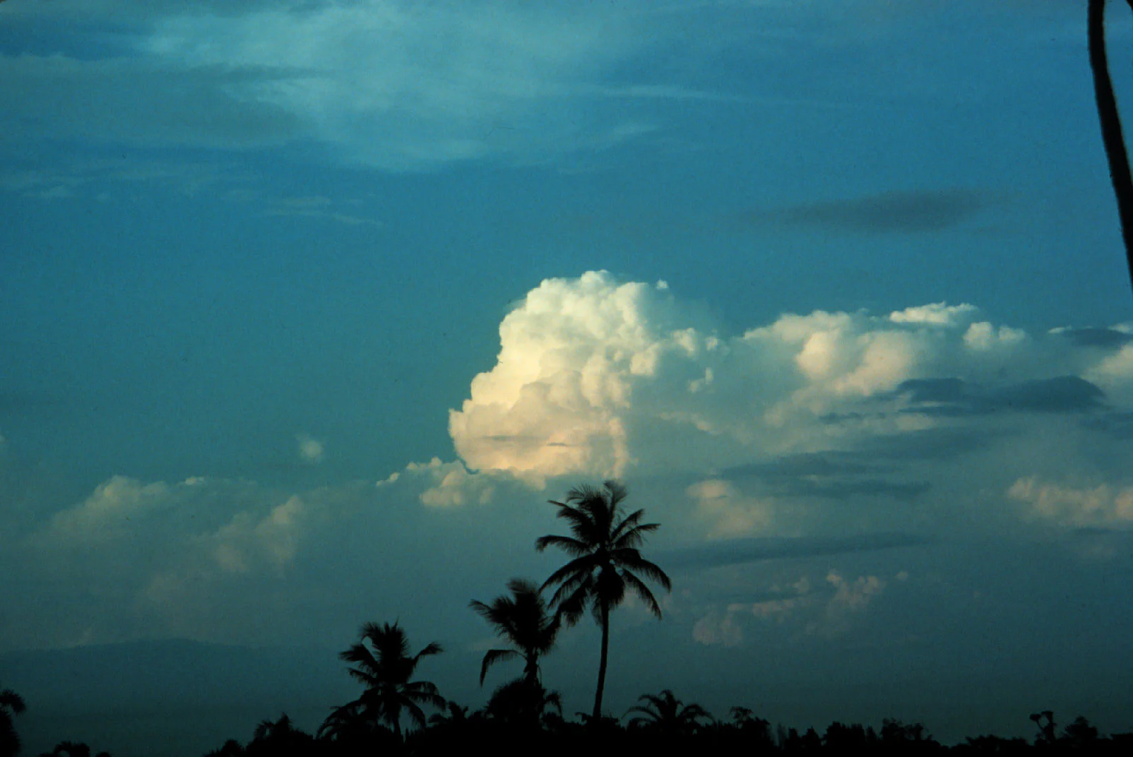 Khối mây cumulus congestus nhận ánh sáng ấm ở một phía