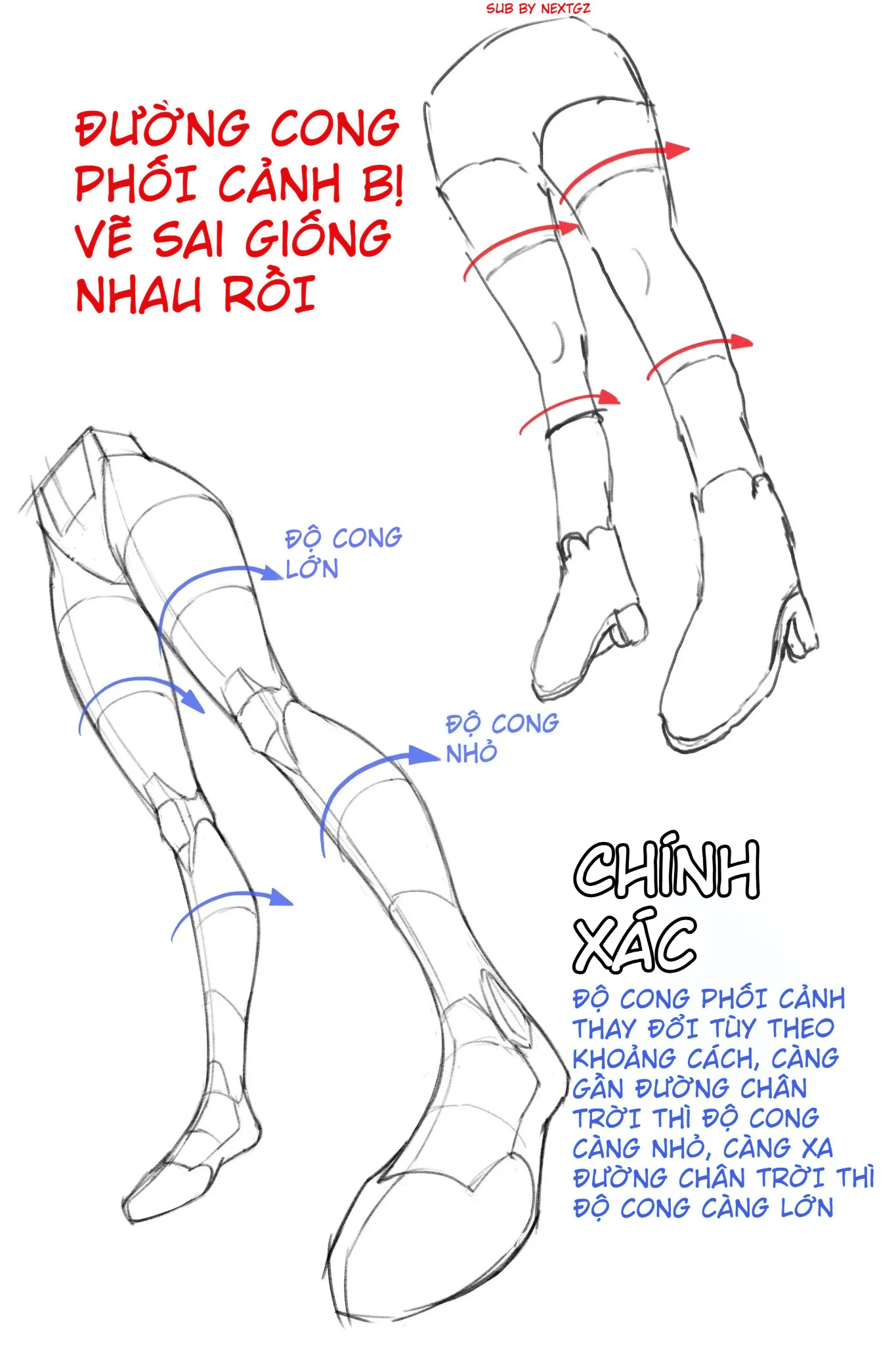 Bảng minh họa đường cong contour trên hai chân và cách độ cong thay đổi theo khoảng cách tới đường chân trời.