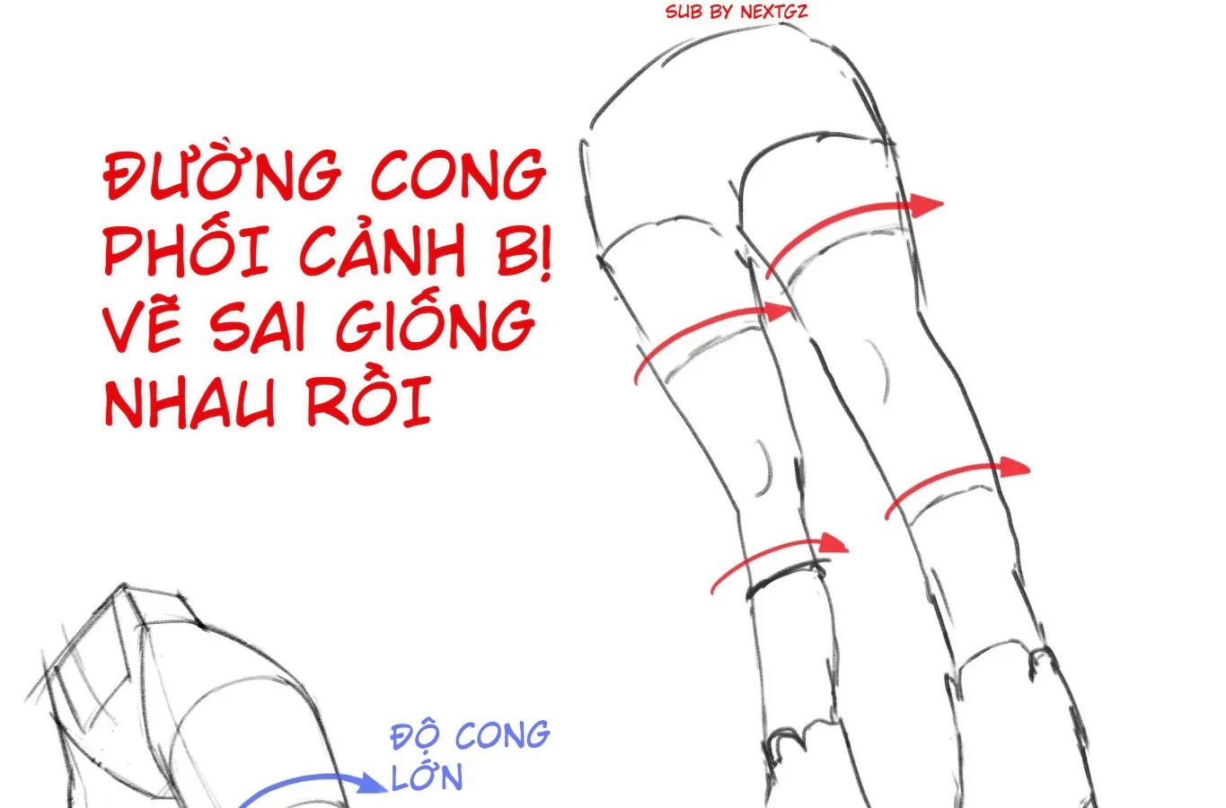 Minh họa lỗi vẽ các đường cong cắt ngang trên hai chân với độ cong giống nhau, làm khối chân bị phẳng và sai phối cảnh.
