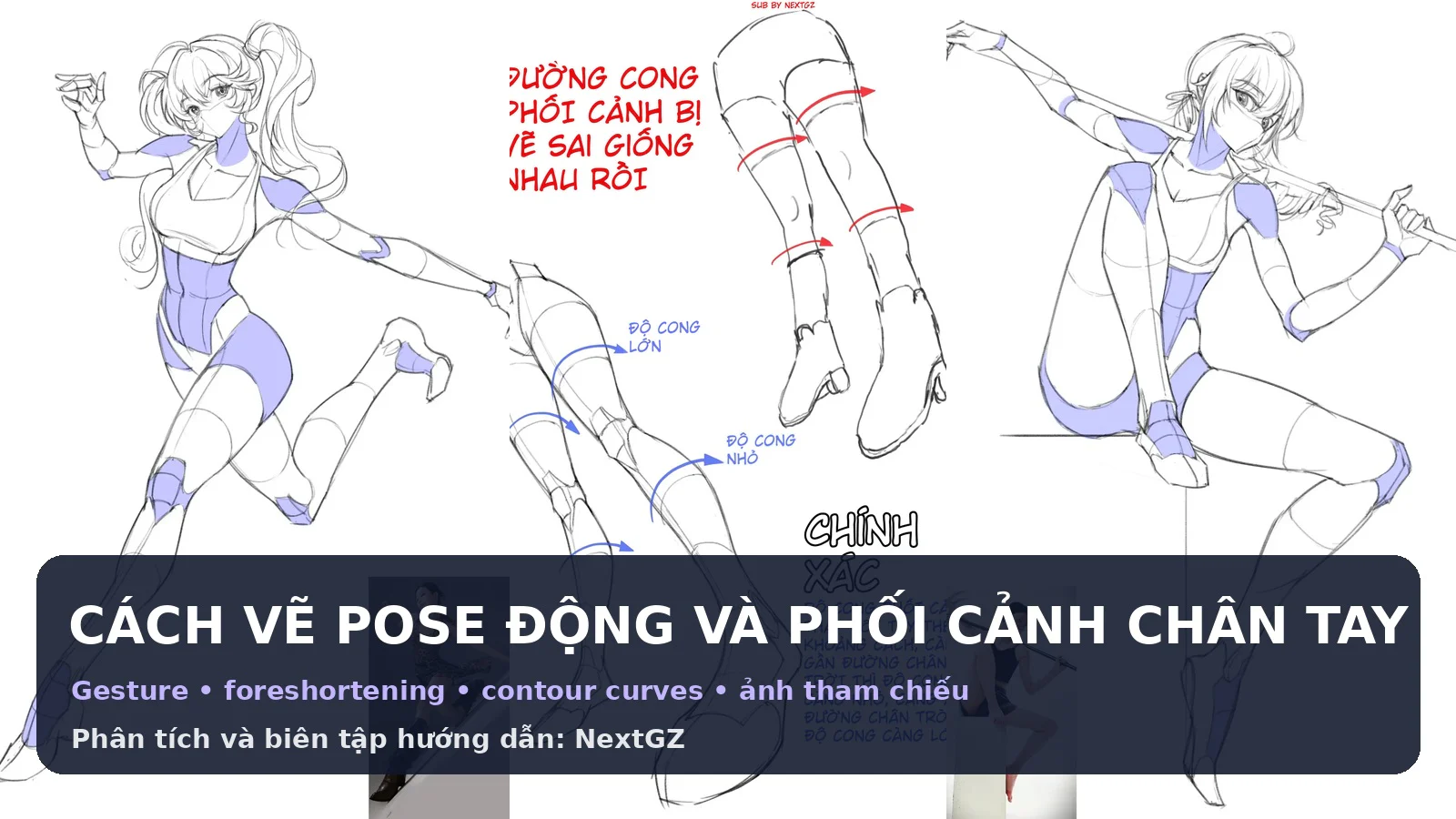Cách vẽ pose động và phối cảnh chân tay anime: Gesture, foreshortening và đường cong contour