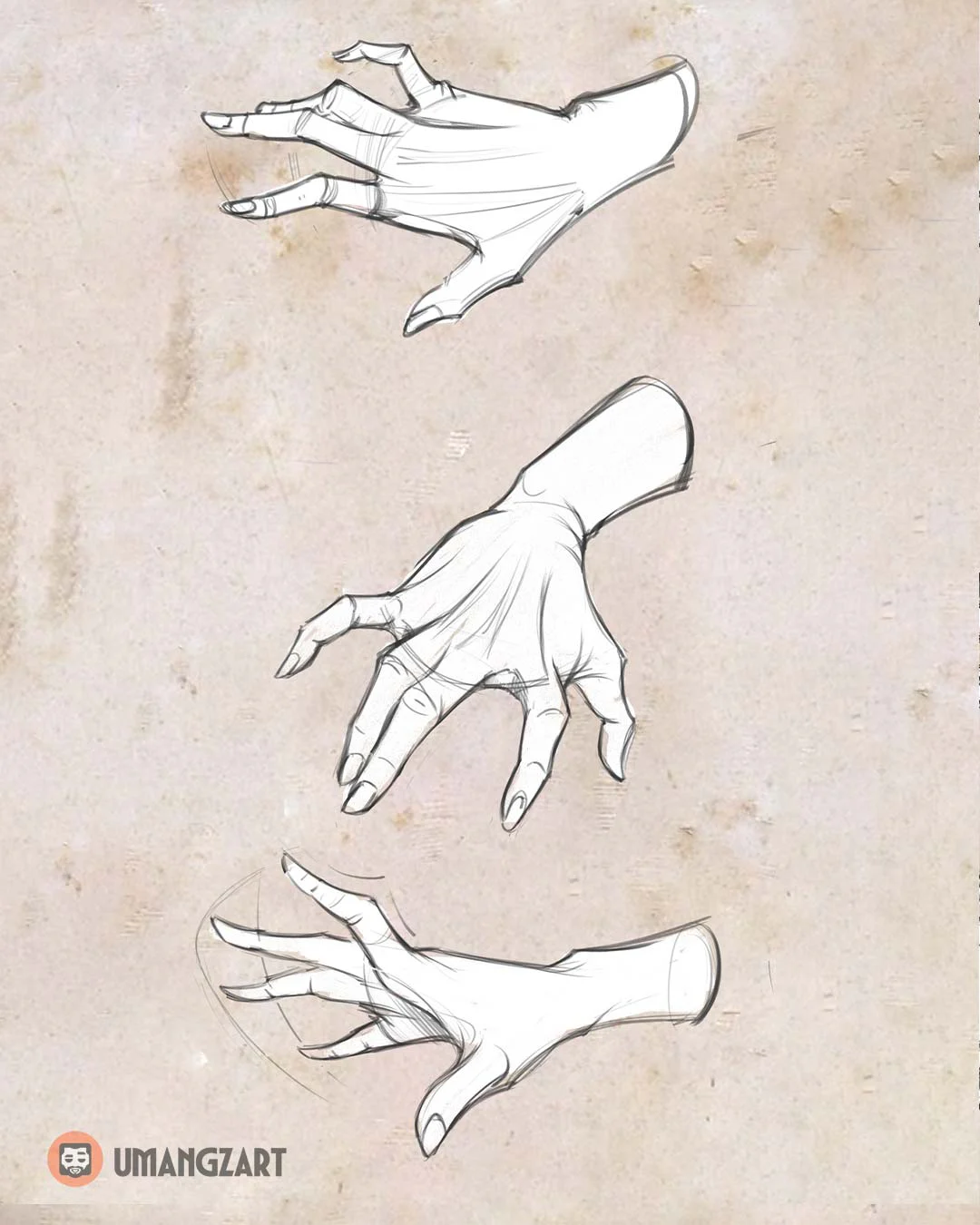 Anatomy Bàn Tay Cho Digital Artist: Từ Gesture, Khối Xương Đến Foreshortening