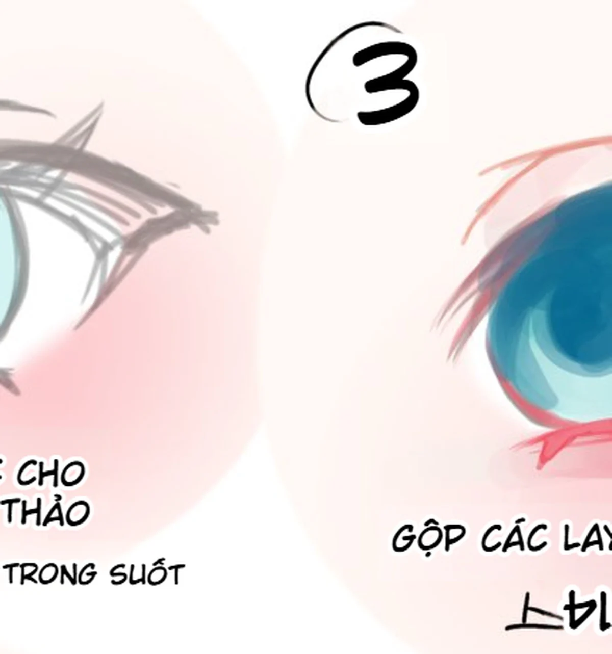 Bước ba gộp layer và khóa các mảng màu chính của mắt anime gồm mí trên xanh đậm, iris xanh và vùng da hồng.