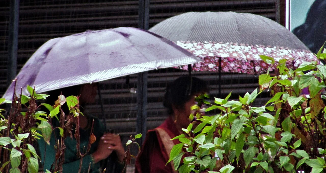Người đi bộ cầm ô dưới mưa, minh họa câu 下雨了 diễn tả tình huống mới xuất hiện
