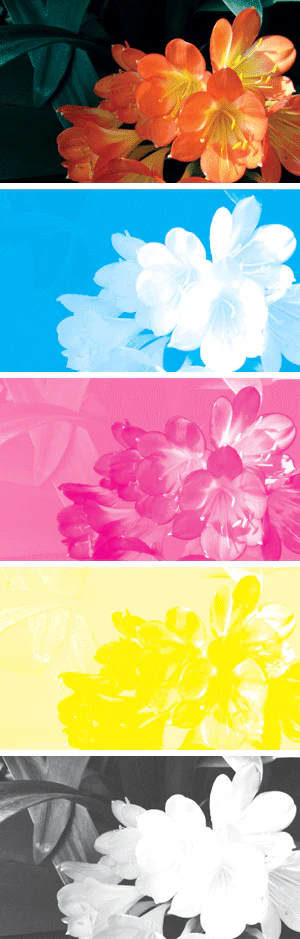 Minh họa tách một hình ảnh thành bốn kênh cyan magenta yellow và black