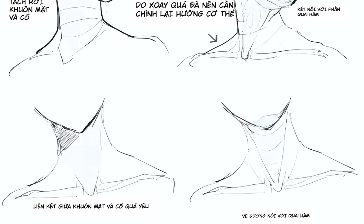 So sánh kết nối khuôn mặt với cổ yếu và bản sửa có cơ cổ, quai hàm, hõm cổ cùng hướng thân hợp lý.