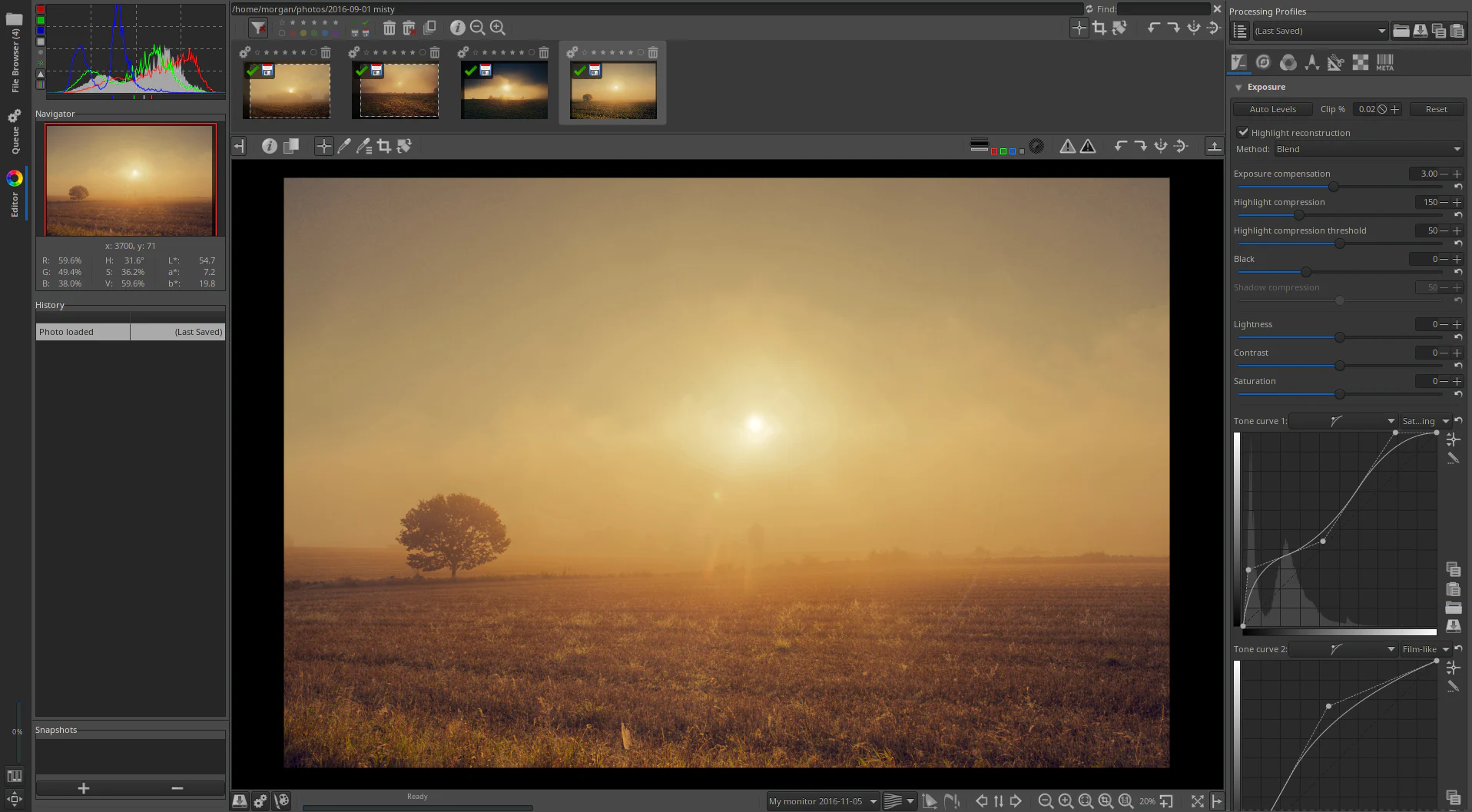 RawTherapee chỉnh một ảnh phong cảnh sương mù với preview lớn và các công cụ phát triển RAW.