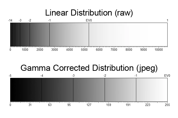 So sánh phân bố tuyến tính và phân bố đã gamma-corrected để minh họa cách giá trị tonal được ánh xạ trong ảnh số
