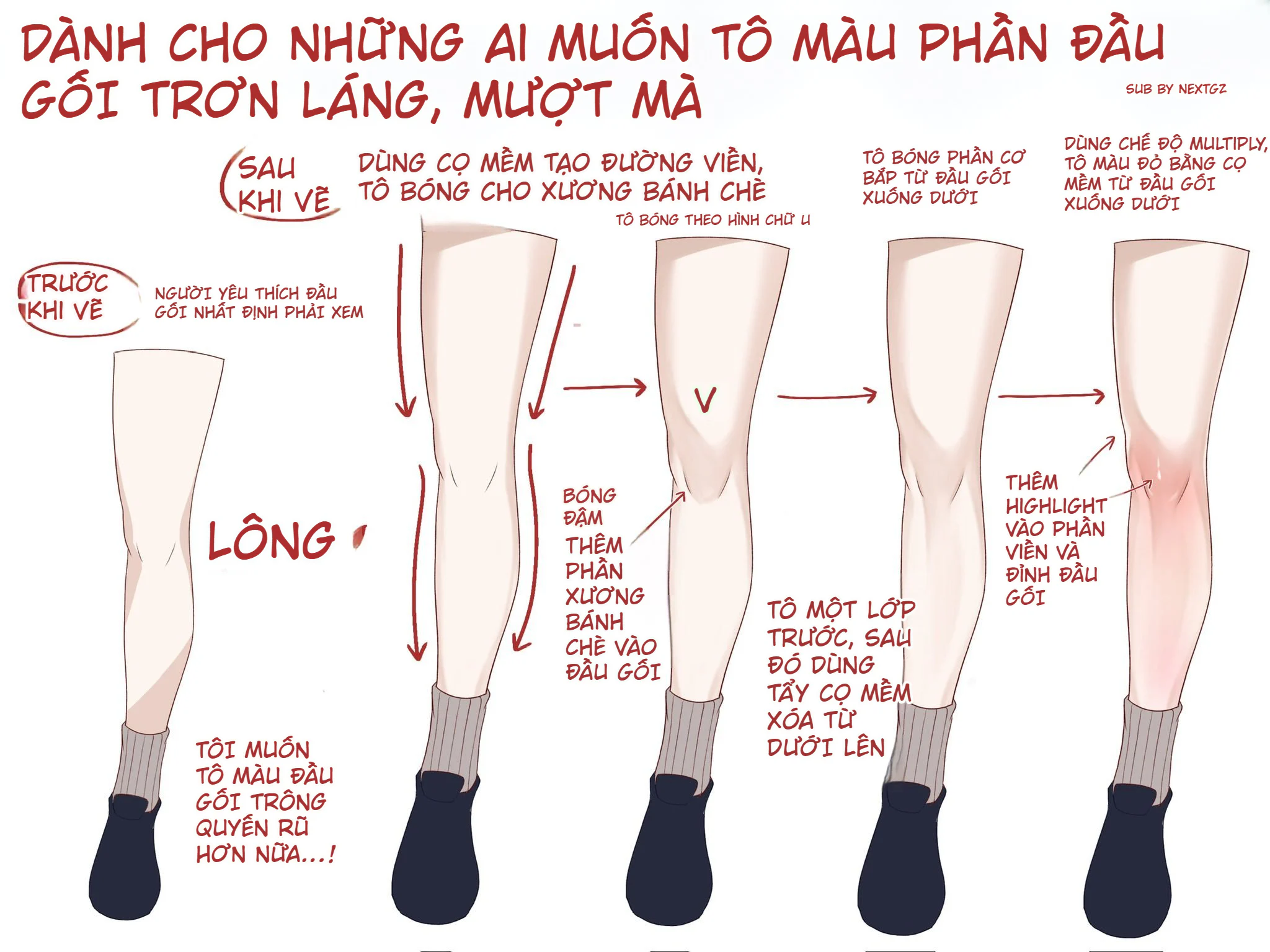 Cách tô màu đầu gối tròn láng, mềm mại: Xương bánh chè, bóng cơ, Multiply và Highlight