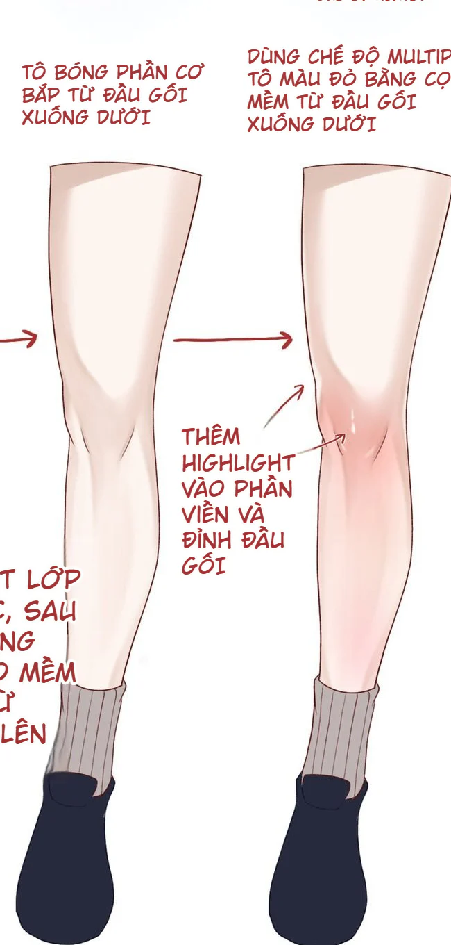Minh họa bước hoàn thiện đầu gối bằng bóng mềm Multiply và highlight ở viền cùng chính diện xương bánh chè