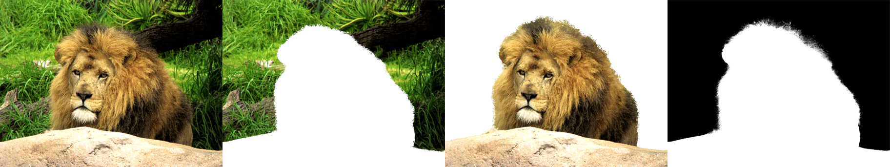 Ví dụ tách ảnh thành foreground, background và alpha matte để minh họa cách Layer Mask giữ hoặc ẩn pixel